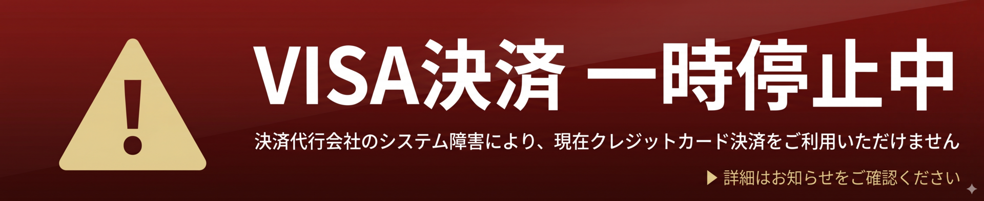 VISA停止