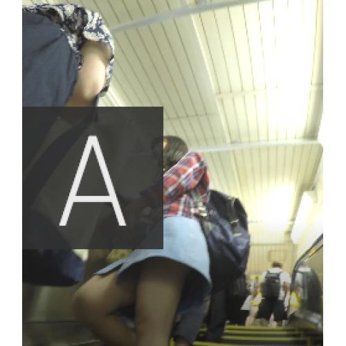 夏への扉パンツ