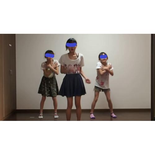 普通の踊ってみた　14