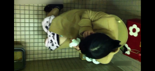 美女だけを狙ったトイレ盗撮(8人超)