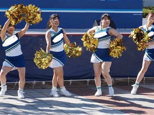 ゴーゴーリーディング！　220