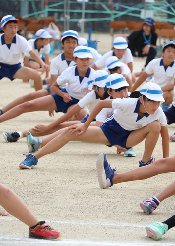 パンパンたんぴー　880