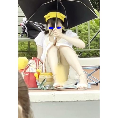 デ○ズニー丸見えp