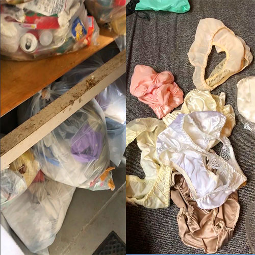 ゴミ漁りしたら女性用下着が出てきた！！