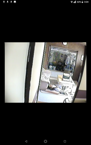 NO2オナニー リアル足ピンオナニー