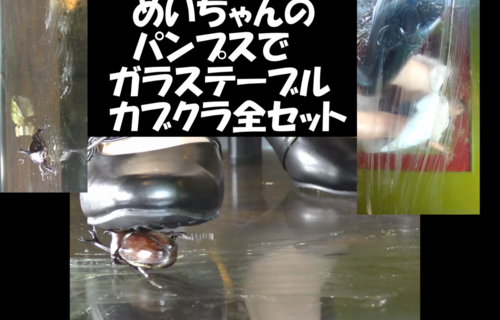 スマホ用縦９：１６めいちゃんのパンプスガラステーブルカブクラ３作品ぜーんぶセット、