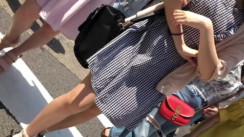 ーパンチラ至上主義ーパンチラ盗撮に命を懸けた変態