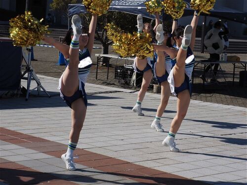 ゴーゴーリーディング！　224