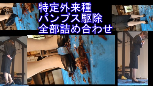 ２９分みくちゃんの特定外来種パンプスで駆除全セット