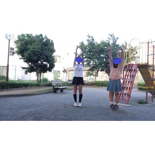 フェアドロ　シリーズ　2