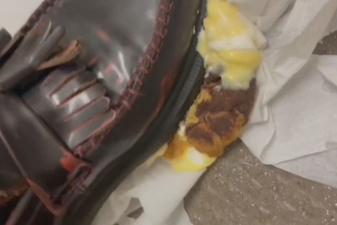 踏み潰しCRUSHのある風景VOL11