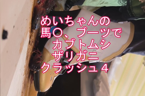 （スマホ版）めいちゃんの馬〇ブーツでカブト、ザリガニCRU...