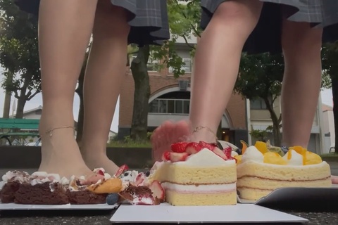 踏み潰しCRUSHのある風景VOL7裸足編（ストッキングも）