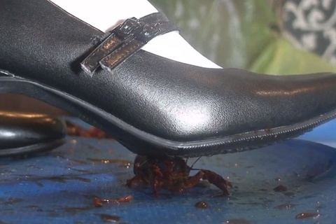 アイドル級美少女の踏み踏みザリガニ料理専門店　VOL2最終章