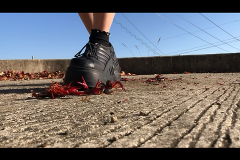 9回目撮影‼️可愛いJDダンスクラッシュ　初の屋外クラッシ...