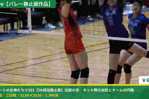 コートの女神たち＃293【5K相当静止画】伝統の赤　ネット際の攻防とチームの円陣