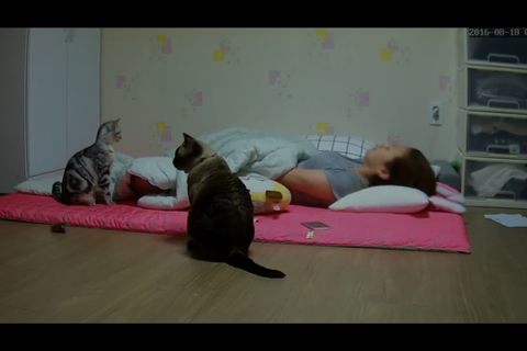 リアルガチオナニー99