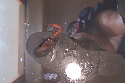 みほちゃんのローファーでザリガニクラッシュＶＯＬ４最終章