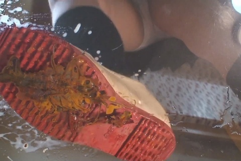 みほちゃんの上履きでザリガニクラッシュ　VOL1