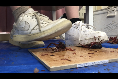 2回目撮影❣️可愛い清楚系専門学生とお友達のダブルクラッシ...