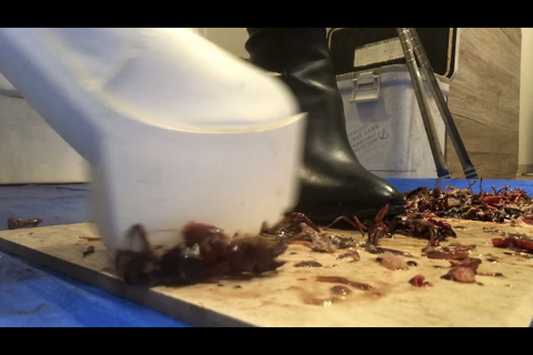 4回目撮影、ダンスが得意な美人JDと可愛い友達、ダブルクラ...