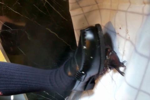 復刻版みくちゃんのローファーでカブトムシCRUSH　VOL2