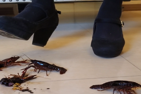 新「らんさん」パンプス１