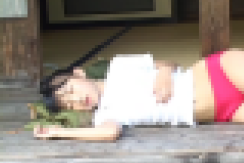 [廃盤] 天使の絵日記 懐かしい田舎の風景をたずねて３