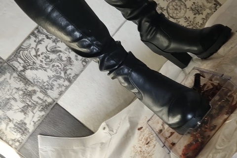 あみちゃんのマーチングバンドでザリガニ駆除、黒ブーツ編