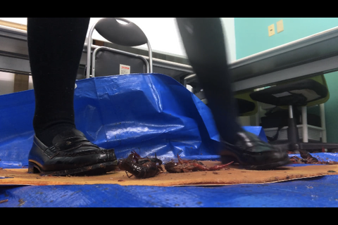 2回目撮影　かわいいJDダンスクラッシュ　【足元接写アング...