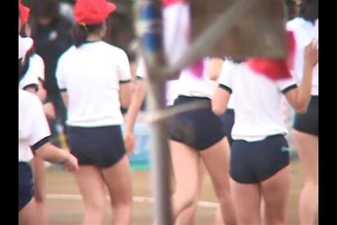 たくさんブルマ Sクラス 70-1 レッドスワローのブルマ