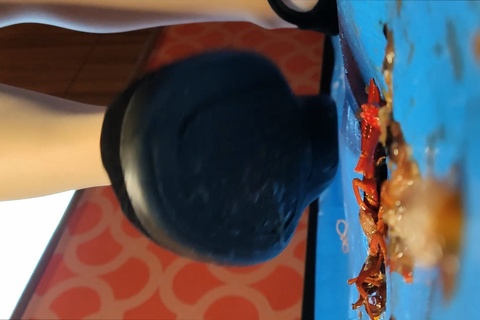 みくちゃんの黒パンプスでザリガニCRUSH１