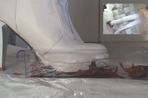 あみちゃんのカラーガード隊で大量のザリガニ駆除、白ブーツ編