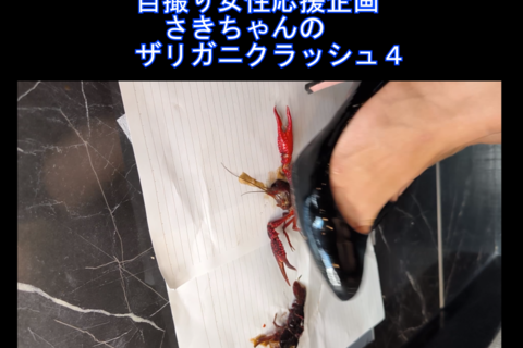 スマホ用9：16縦自撮り女性応援企画さきちゃんのザリガニクラッシュ４