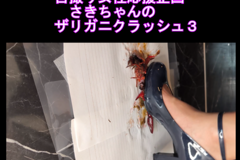 スマホ用9：16縦自撮り女性応援企画さきちゃんのザリガニクラッシュ３