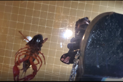 「ひめちゃん」チェーンパンプス靴裏視点