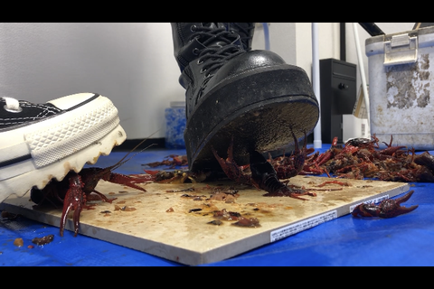 2回目撮影。めちゃカワ小動物系の清楚JDと、ノリノリのショ...