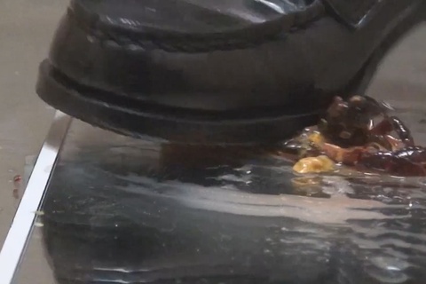 みほちゃんのローファーでザリガニクラッシュＶＯＬ３