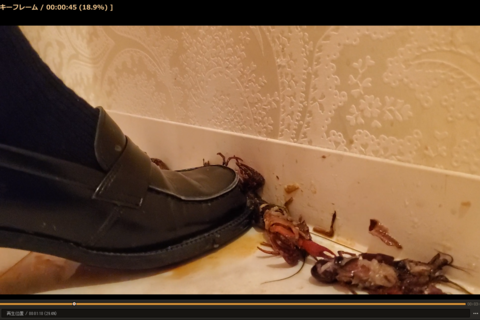 復「らんさん」ローファー２