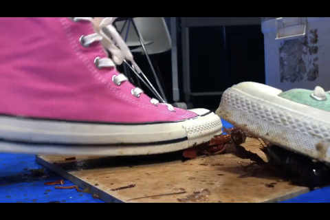 3回目撮影❣️可愛い清楚系専門学生と清楚友達のダブルクラッ...