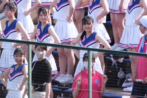 応援チア ガール