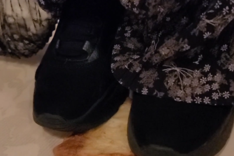 フードクラッシュ3