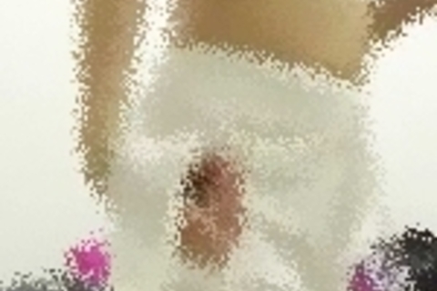 成長期のちっぱい