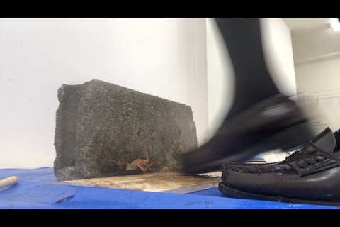 2回目撮影‼️ハスキーボイスの可愛いJD 全編セーラー服　...