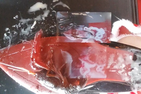 みくちゃんのサンタのガラステーブルでザリガニCRUSH １