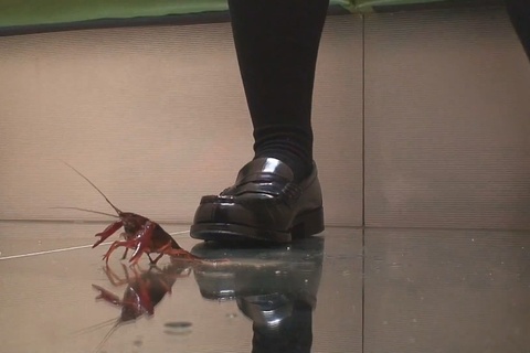 みほちゃんのローファーでザリガニクラッシュＶＯＬ２