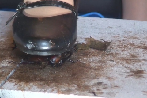 アイドル級美少女のコスプレ黒パンプスで兜CRUSH　vol6