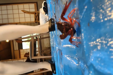 魔法少女みくちゃんのパンプスでザリガニCRUSH縦編VOL２