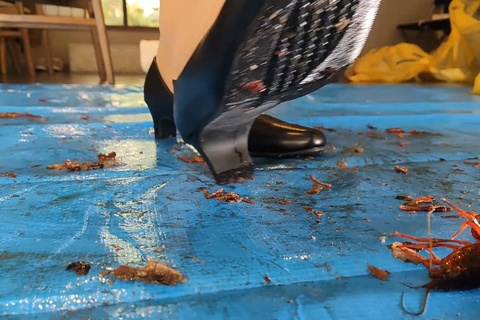 魔法少女みくちゃんのパンプスでザリガニCRUSH横編VOL1