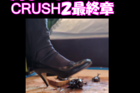PC用 横１６：９めいちゃんの馬〇、ハイヒールでカブトムシ、ザリガニCRU...